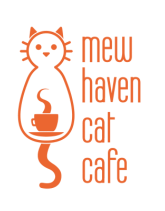 Cat Cafes As Of Jan 2018 Mew Haven Cat Cafe
