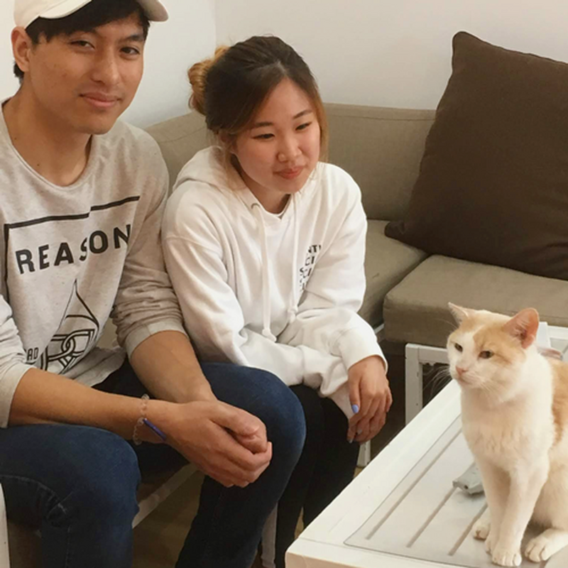 Adoption #12: Apricot