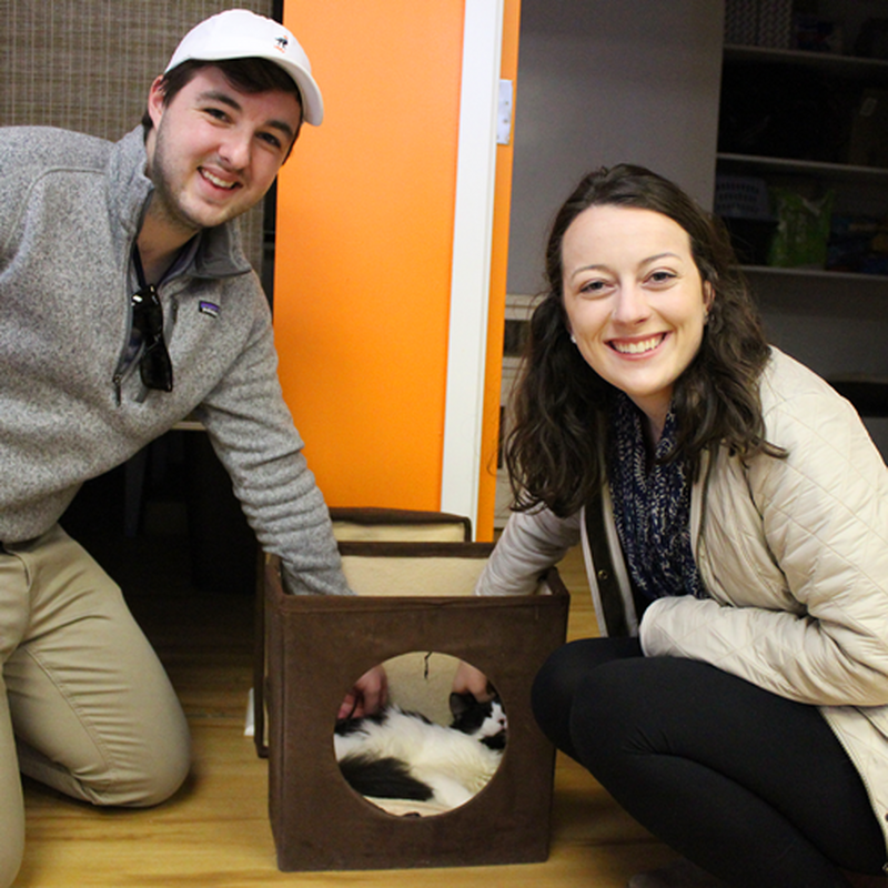 Adoption #42: Bentley