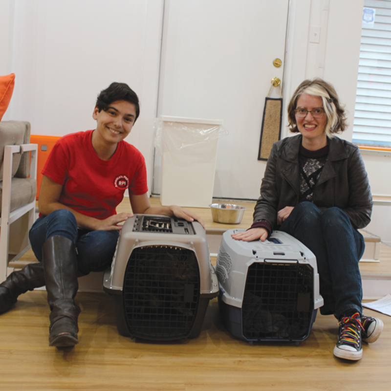 Adoptons #33 & #34: Candy Corn & Piper