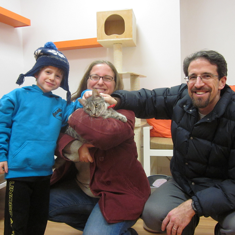 Adoption #3: Chicken Cutlet