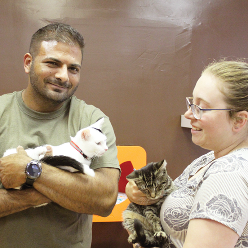 Adoption #9 & #10: Joey & Veronica