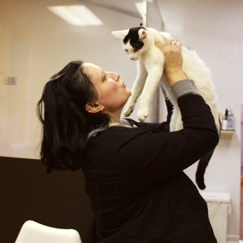 Adoption #29: Lumber