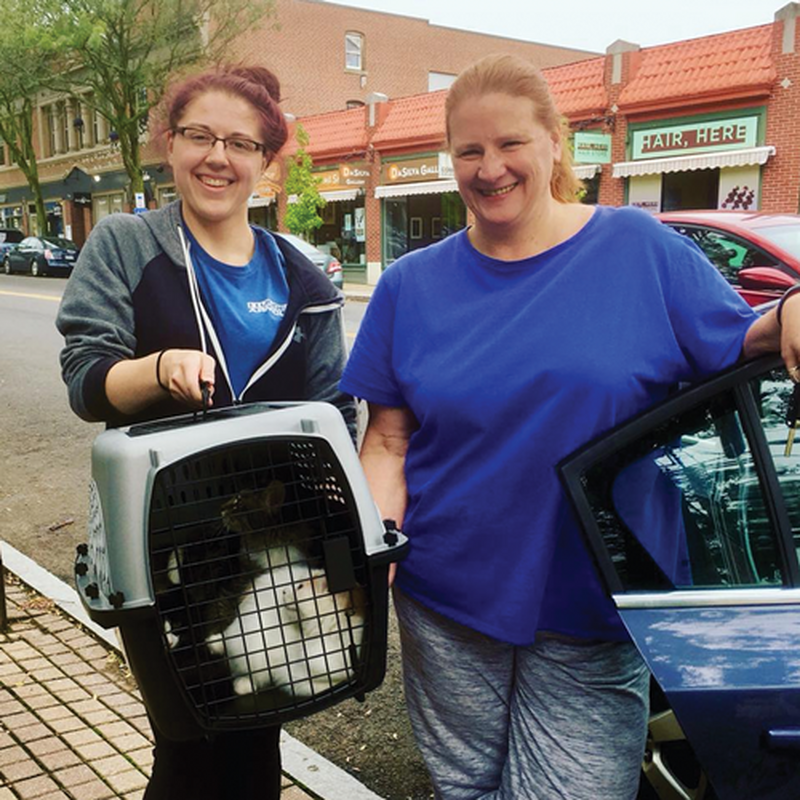 Adoptions #15, #16, & #17: Mew Radley, Kona, Tiger