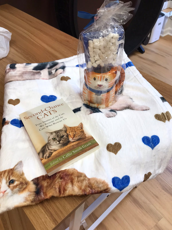 10. Soft fleece blanket, orange cat mug with hot cocoa mix, "Second-Chance Cats" book